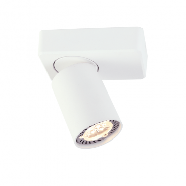 Aca Μονόφωτο Φωτιστικό Οροφής - Τοίχου Λευκό (RA301S12WH)