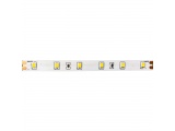Aca LED Ταινία 5M 4.8W/M 24V DC IP20 Μπλε 8mm (24283548B)