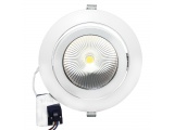 LED COB χωνευτό κινητό φωτιστικό οροφής 30W 60° 3000K (LINO3030N)