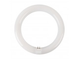 Λάμπα SMD Led Στρογγυλή 15W T9 6500K (G10Q15CW)
